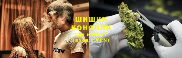 PSILOCYBIN Заволжск