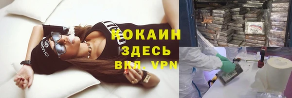 PSILOCYBIN Заволжск