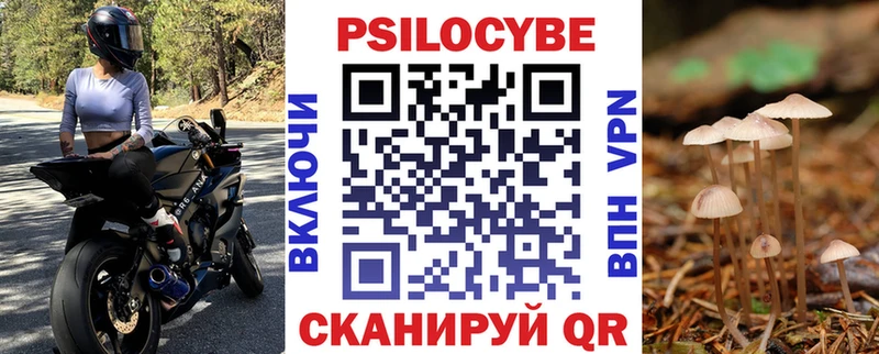 Псилоцибиновые грибы Psilocybine cubensis  Купить  Ухта 